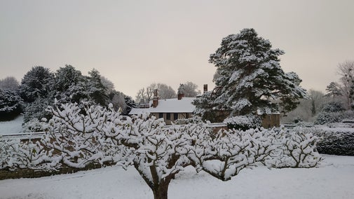 A view of Ightham Mote and the orchard in the snow